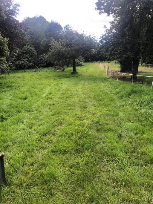 La Foret Auvray - Maison De Campagne Putanges Buitenkant foto